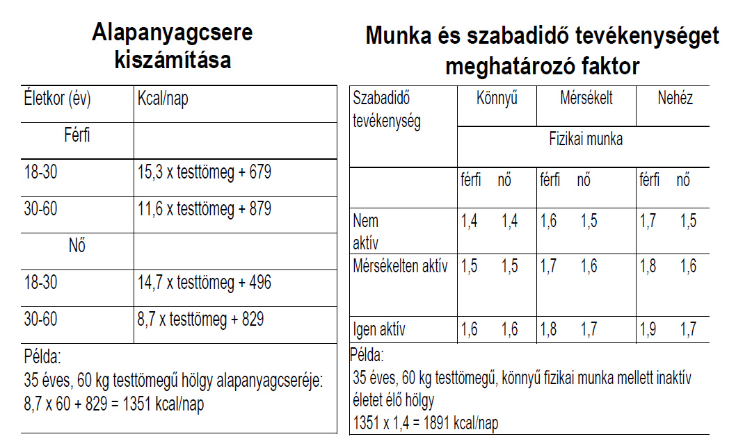 kalóriatartalmú étrend a gyors hozik